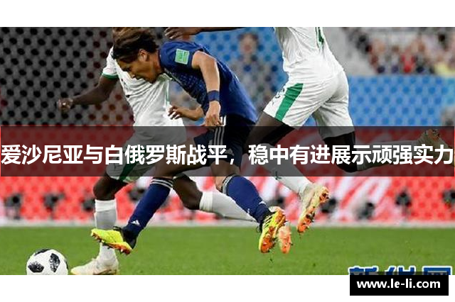 爱沙尼亚与白俄罗斯战平，稳中有进展示顽强实力