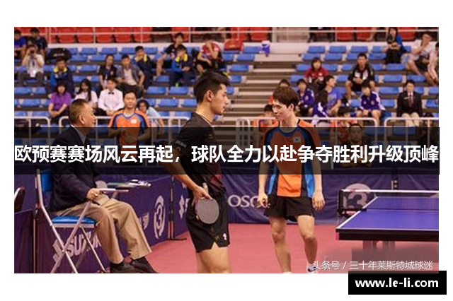 欧预赛赛场风云再起，球队全力以赴争夺胜利升级顶峰