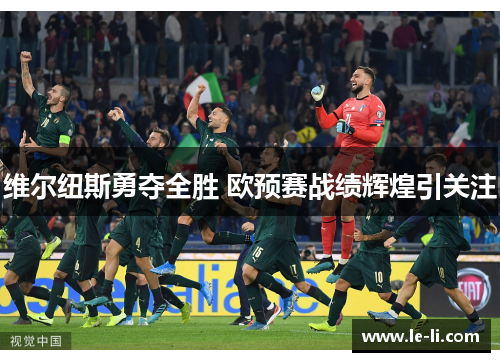 维尔纽斯勇夺全胜 欧预赛战绩辉煌引关注