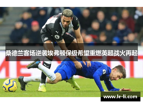 桑德兰客场逆袭埃弗顿保级希望重燃英超战火再起