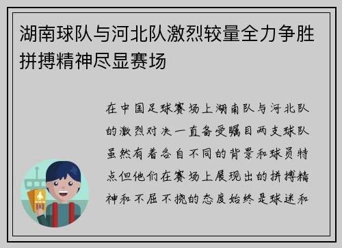 湖南球队与河北队激烈较量全力争胜拼搏精神尽显赛场
