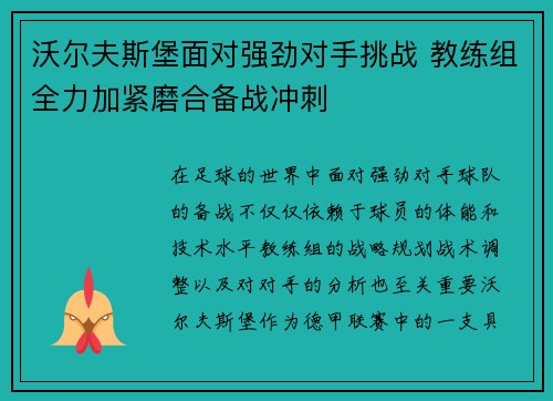 沃尔夫斯堡面对强劲对手挑战 教练组全力加紧磨合备战冲刺