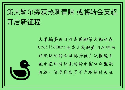 策夫勒尔森获热刺青睐 或将转会英超开启新征程
