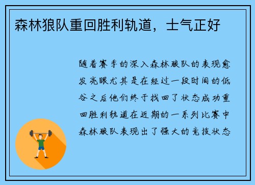 森林狼队重回胜利轨道，士气正好